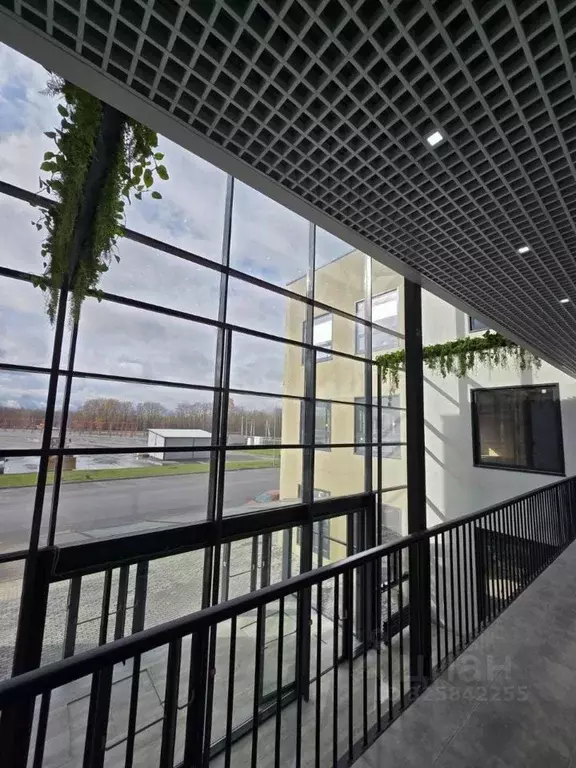 Офис в Московская область, Домодедово городской округ, д. Заболотье ... - Фото 2