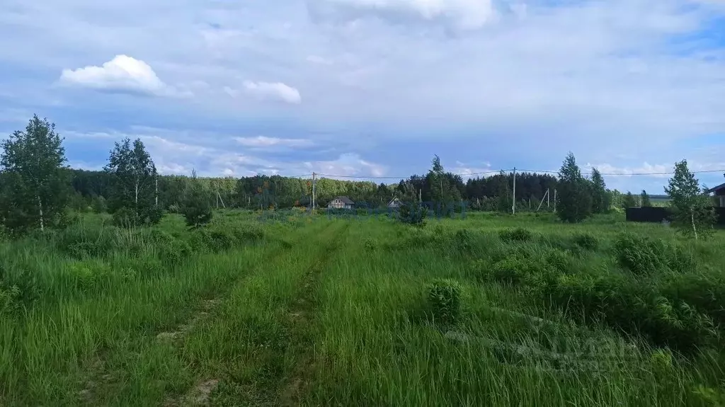 Участок в Нижегородская область, Богородский муниципальный округ, ... - Фото 1