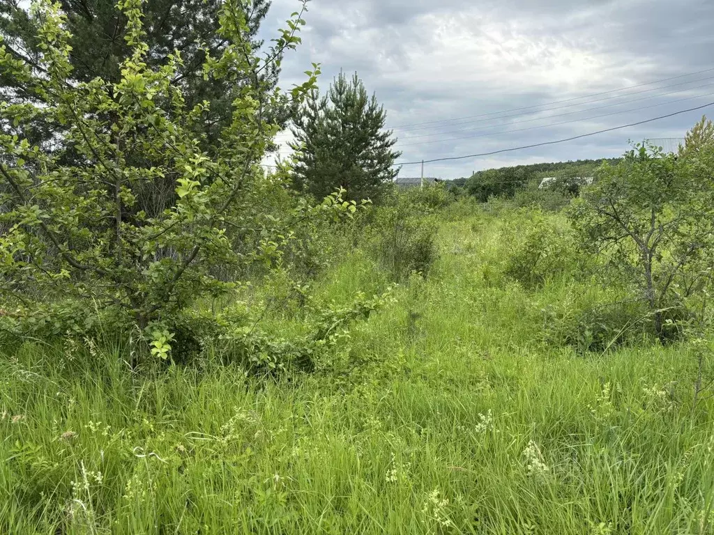 Участок в Татарстан, Лаишевский район, с. Егорьево Дачная ул. (6.4 ... - Фото 1