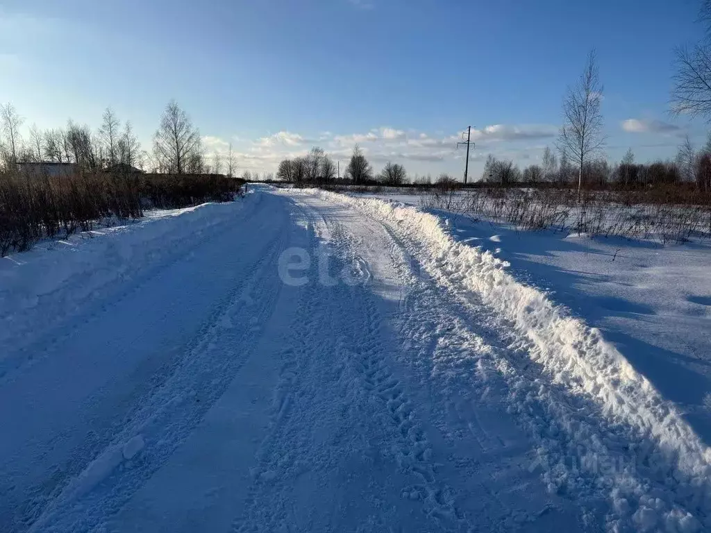 Участок в Брянская область, Брянский район, Снежское с/пос, с. ... - Фото 1