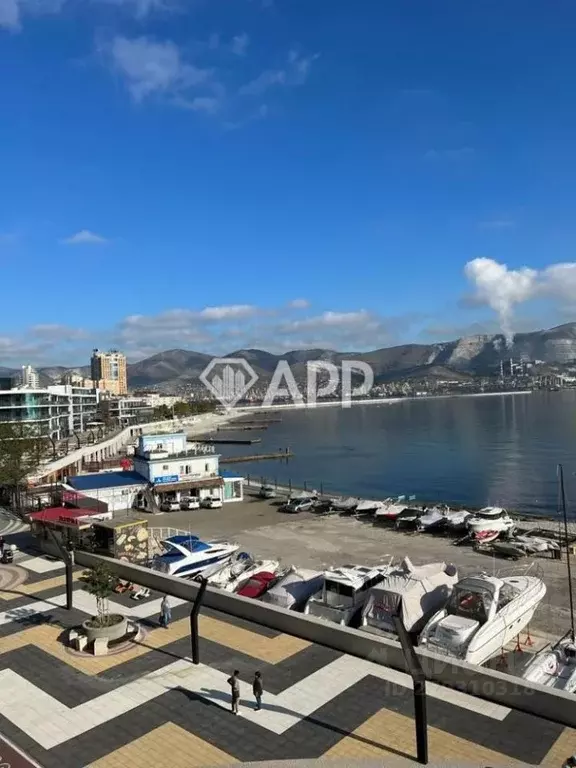Помещение свободного назначения в Краснодарский край, Новороссийск ... - Фото 0