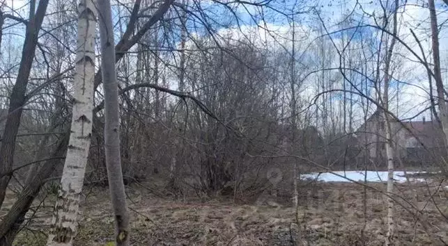 Участок в Московская область, Щелково городской округ, д. Мишнево  ... - Фото 1