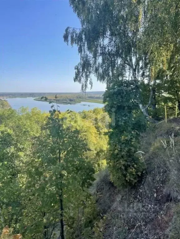 Участок в Владимирская область, Меленковский муниципальный округ, д. ... - Фото 0