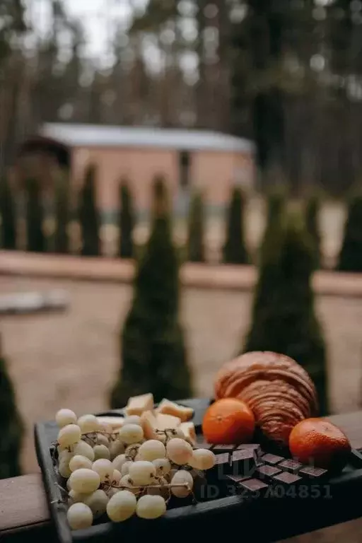 Дом в Ленинградская область, Приозерский район, Раздольевское с/пос, ... - Фото 2