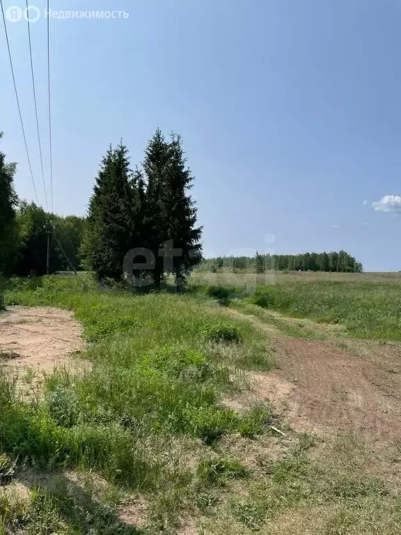 Участок в Ковровский район, муниципальное образование Малыгинское, ... - Фото 0