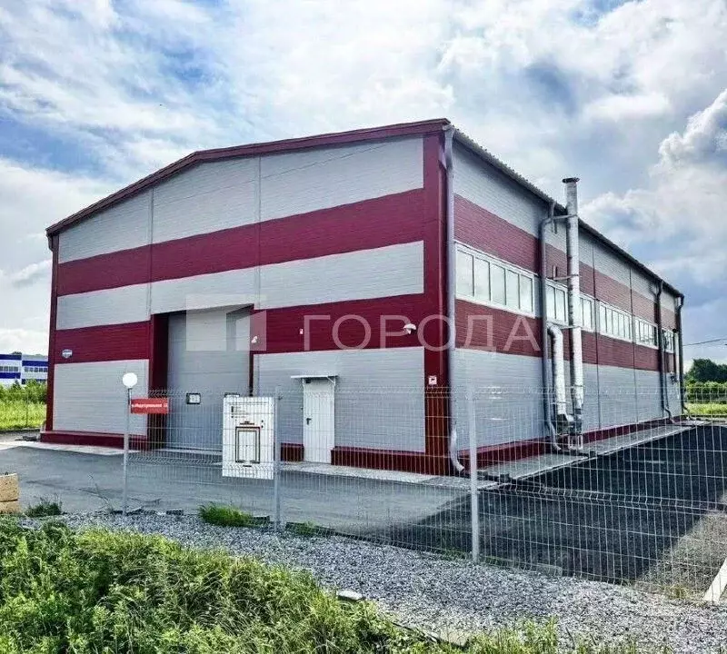 Помещение свободного назначения в Новосибирская область, Новосибирский ... - Фото 2