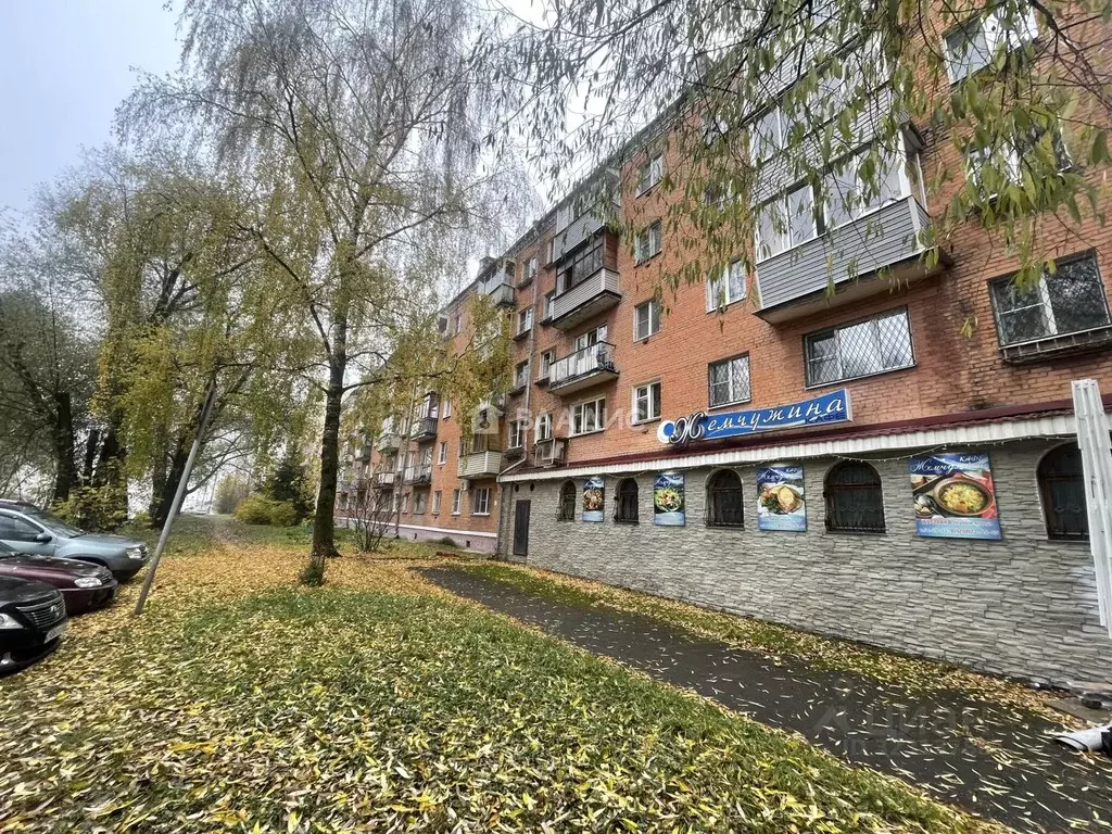 2-к кв. Владимирская область, Владимир ул. Василисина, 14 (45.0 м) - Фото 2