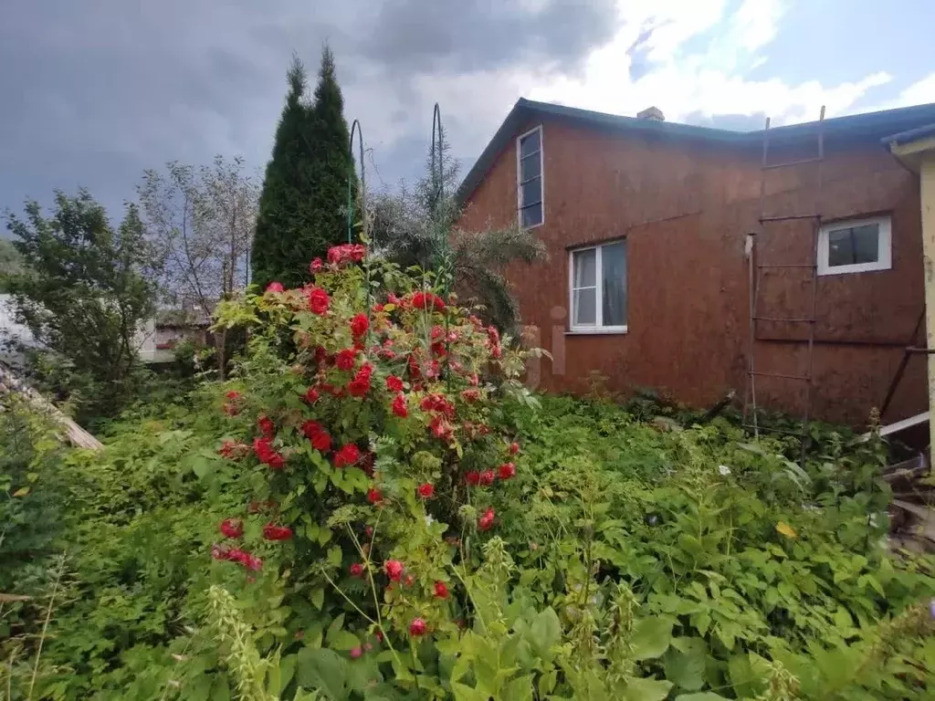 Дом в Псковская область, Порхов ул. Веры Еровой, 6 (53 м) - Фото 2