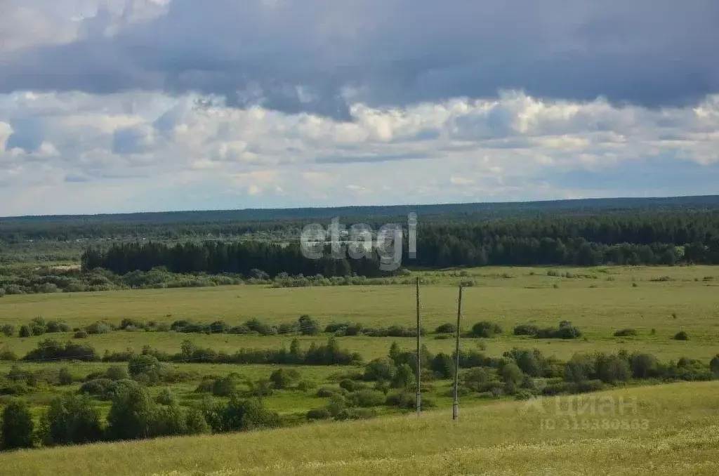 Участок в Коми, Сыктывдинский район, Палевицы муниципальное ... - Фото 1