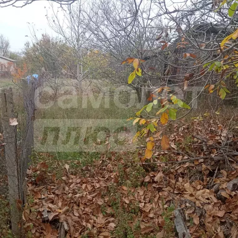 Участок в Крым, Симферопольский район, Молодежное пгт, Аграрник СНТ ... - Фото 1