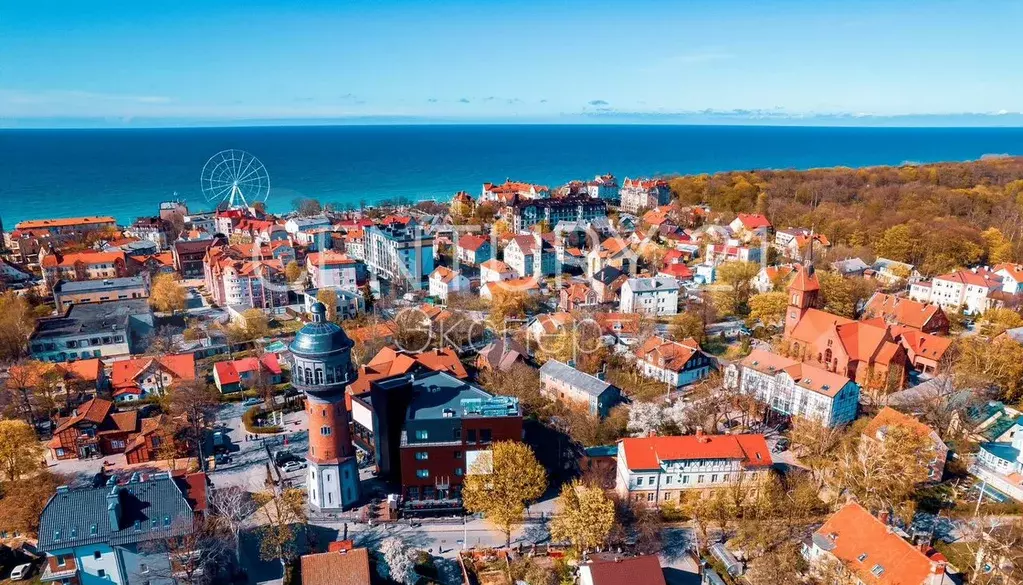 Коммерция 228.6м в Зеленоградске - Фото 1