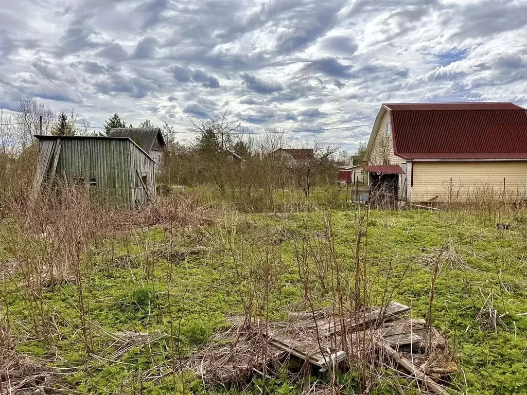 Участок в Санкт-Петербург, Санкт-Петербург, Пушкин СНТ Дони тер., ул. ... - Фото 2