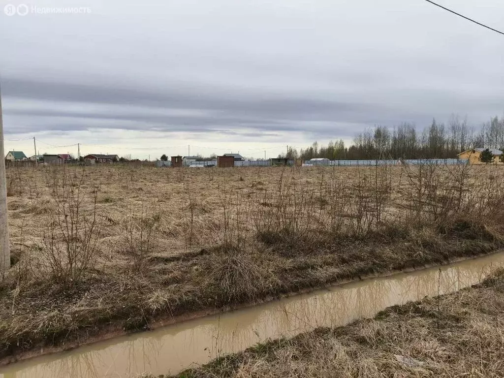 Участок в Новгородский муниципальный район, Ракомское сельское ... - Фото 2