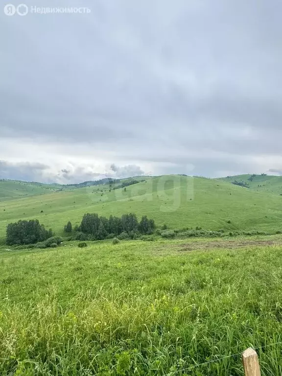 Участок в Алтайский район, ДНТ Жемчужина Алтая (10.5 м) - Фото 1