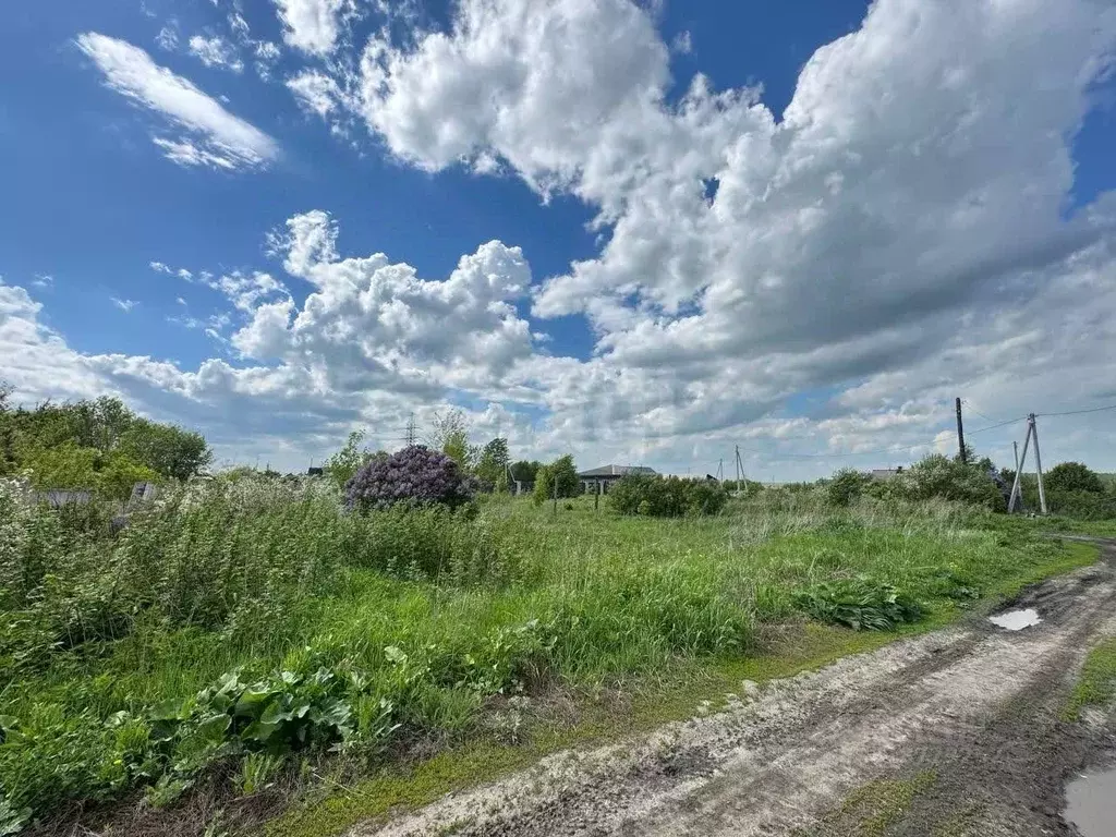 Участок в Свердловская область, Талица ул. Микоян (9.0 сот.) - Фото 1