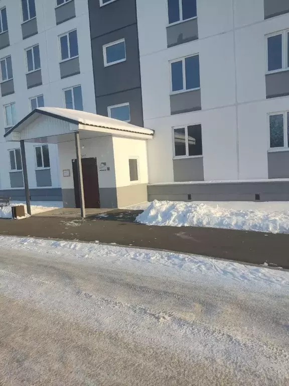 Студия Псковская область, Остров ул. Калинина, 82А (25.0 м) - Фото 1