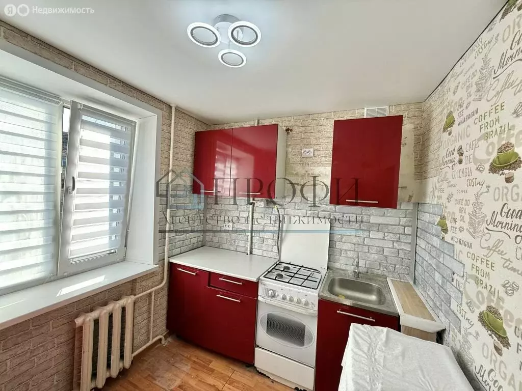 1-комнатная квартира: Новый Оскол, улица Ленина, 50 (31 м) - Фото 2