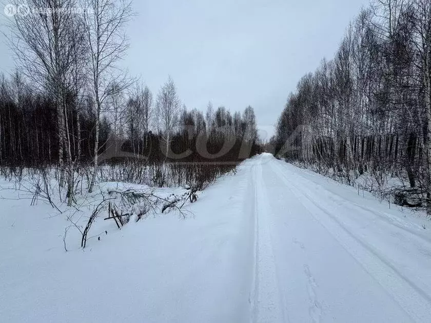 Участок в Нижнетавдинский район, деревня Штакульская (12.5 м) - Фото 1