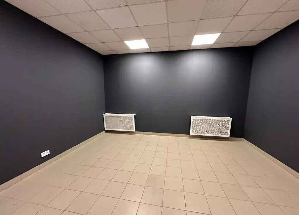 Офис в Санкт-Петербург Грузовой проезд, 13АД (250 м) - Фото 2