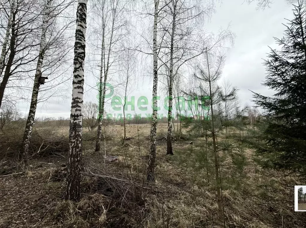 Участок 15 сот. (ИЖС) - Фото 1