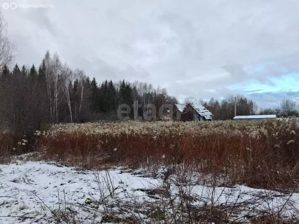 Участок в Кострома, садоводческое некоммерческое товарищество Огонёк-2 ... - Фото 1