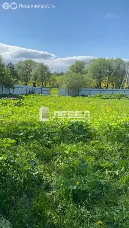 Участок в Московская область, муниципальный округ Чехов, деревня ... - Фото 1