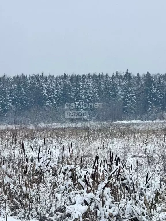 Участок в Московская область, Солнечногорск городской округ, д. Пешки, ... - Фото 1