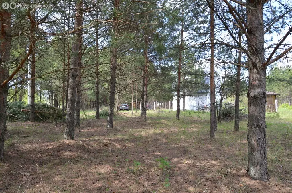 Участок в Суздальский район, муниципальное образование Селецкое, СНТ ... - Фото 0