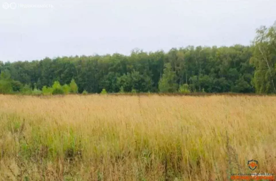 Участок в Московская область, Раменский муниципальный округ, село ... - Фото 2