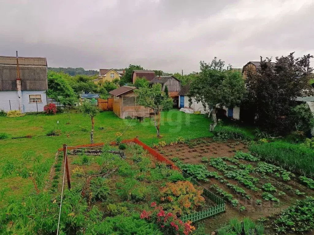 Дом в Калининградская область, Калининград Мечта СНТ, проезд 5-й (40 ... - Фото 1
