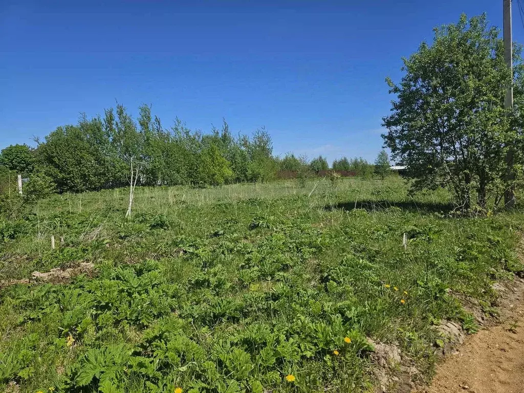 Участок в Московская область, Солнечногорск городской округ, д. ... - Фото 1