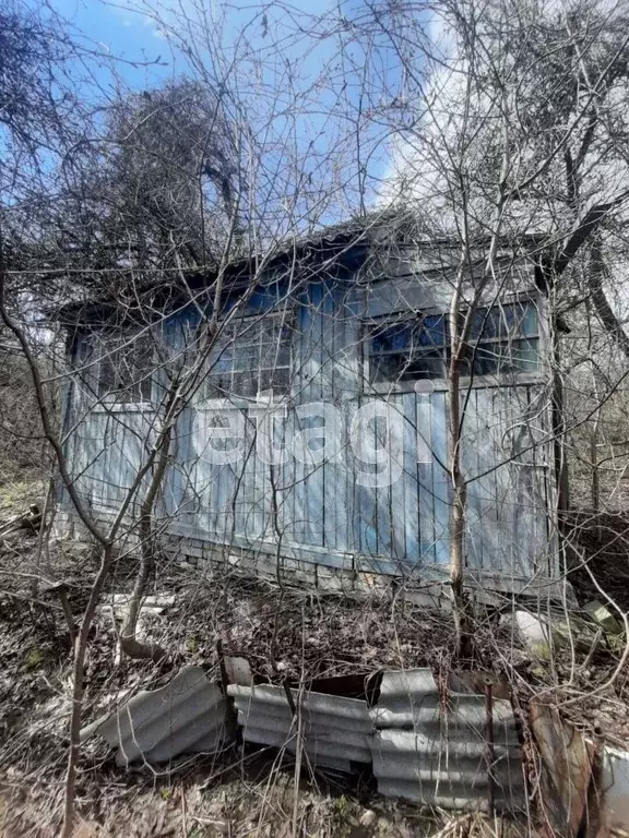 Дом в Брянская область, Брянский район, Нетьинское с/пос, Автозаводец ... - Фото 2
