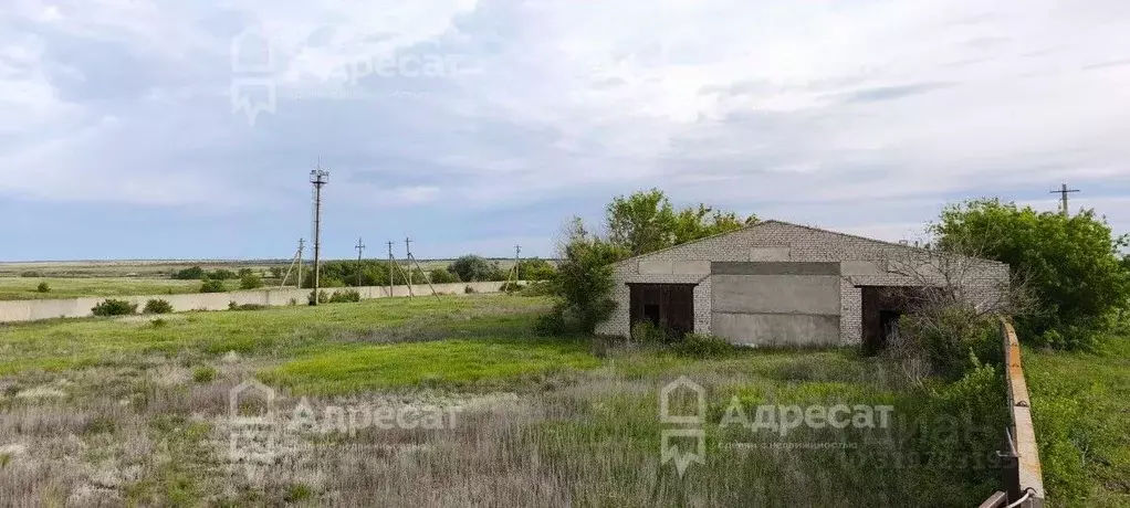 Помещение свободного назначения в Волгоградская область, Дубовский ... - Фото 1