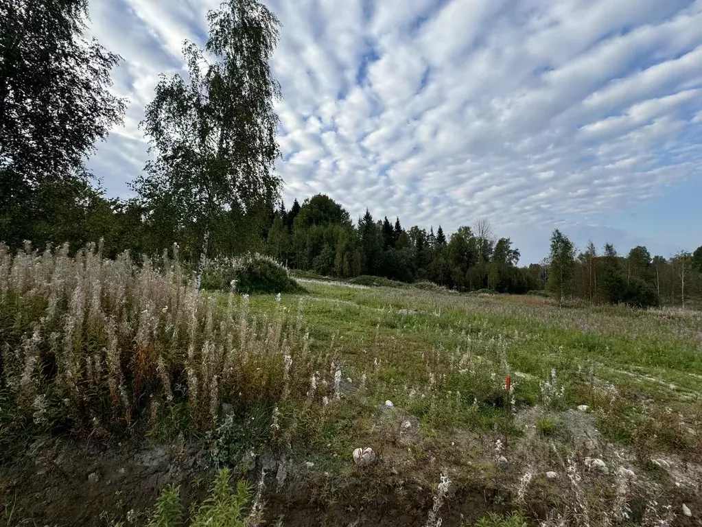 Участок в Ленинградская область, Выборгский район, Полянское с/пос, ... - Фото 0