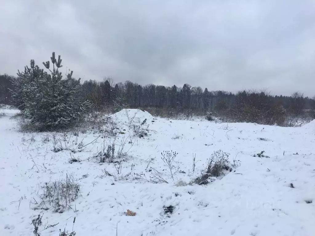 Участок в Московская область, Пушкинский городской округ, д. Цернское  ... - Фото 1