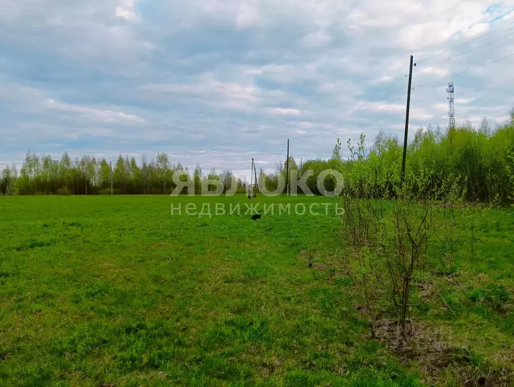 Участок в Пермский край, Березники муниципальное образование, д. ... - Фото 1