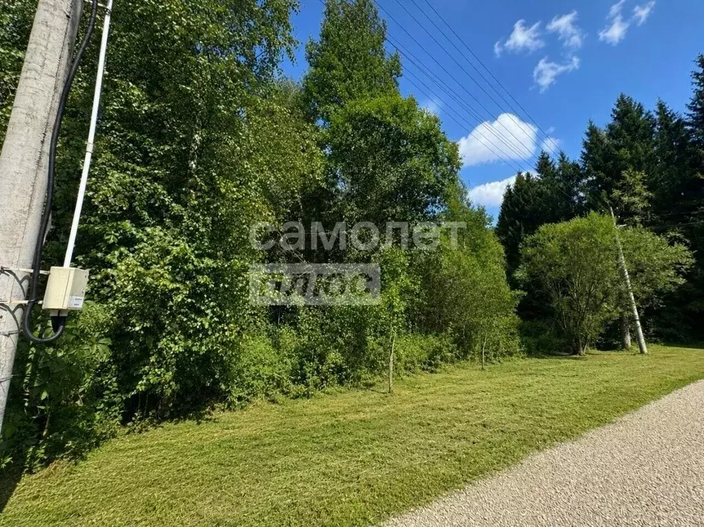 Участок в Москва Мачихино СНТ, 85 (6.0 сот.) - Фото 2