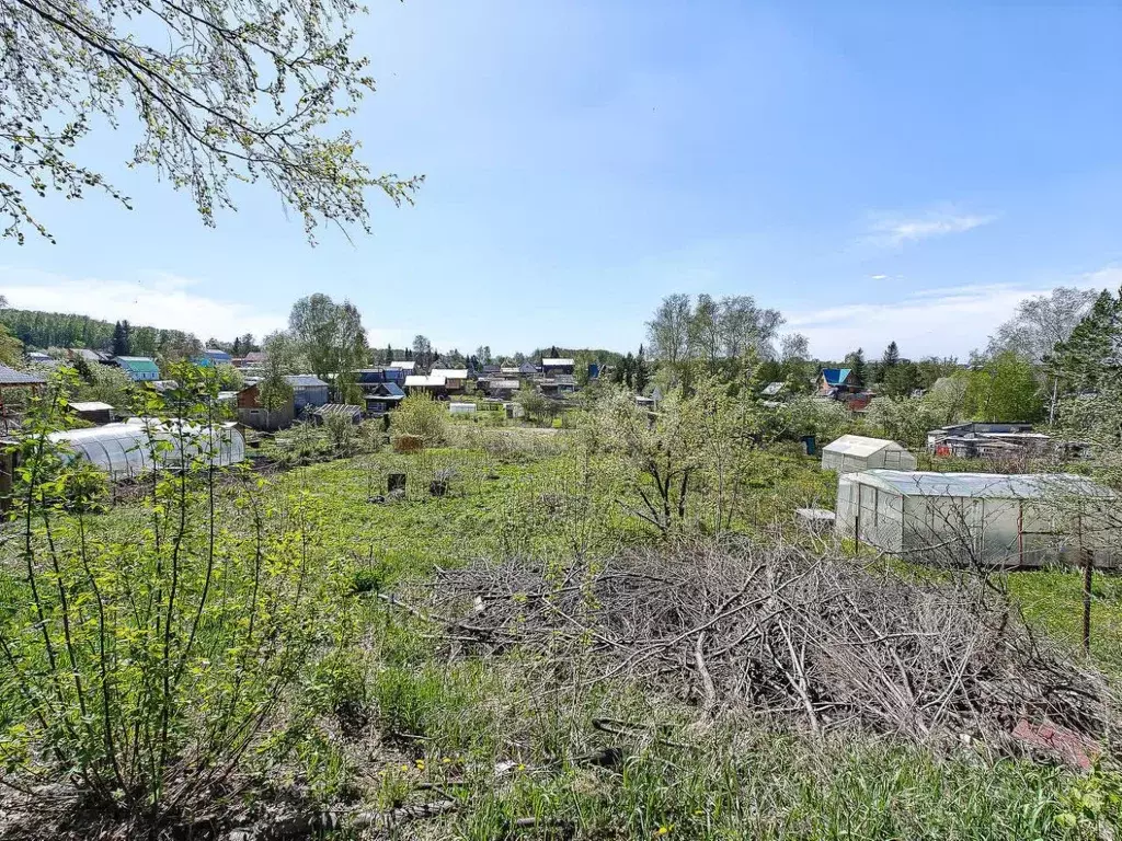 Дом в Новосибирская область, Новосибирск Березовая Роща СТ, 186 (26 м) - Фото 1