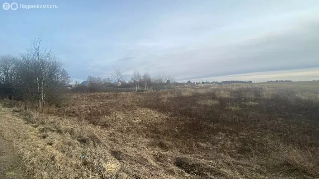 Участок в Суздальский район, муниципальное образование Селецкое, село ... - Фото 0