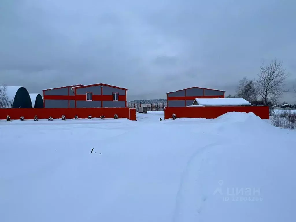 Склад в Московская область, Домодедово Белые Столбы мкр, с11 (1100 м) - Фото 1