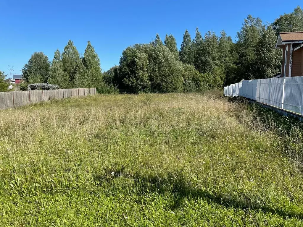 Участок в Ленинградская область, Ломоносовский район, Гостилицкое ... - Фото 1