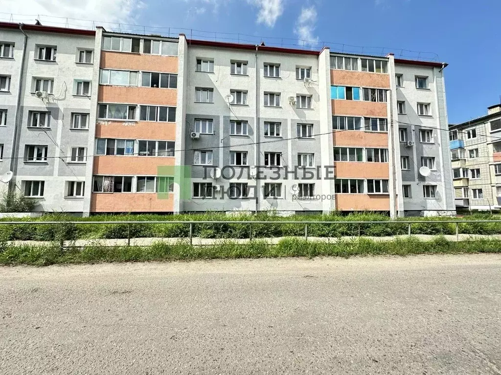 1-к кв. Амурская область, с. Тамбовка ул. Трудовая, 26 (30.9 м) - Фото 1