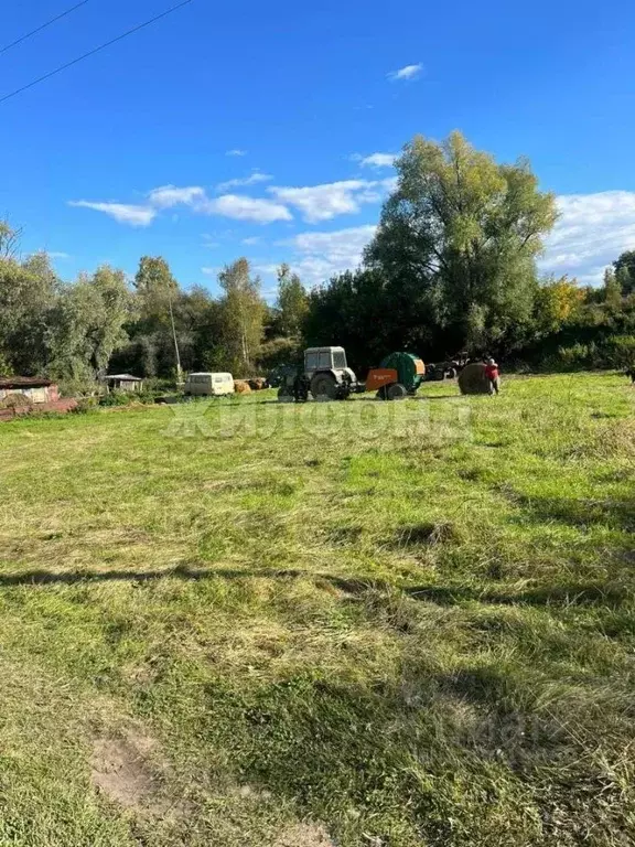 Участок в Новосибирская область, Колыванский район, д. Пристань-Почта ... - Фото 1