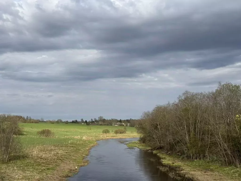 Участок в Ленинградская область, Волосовский район, Сабское с/пос  ... - Фото 1