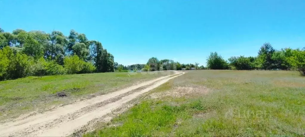Участок в Воронежская область, Рамонский район, Березовское с/пос, д. ... - Фото 1