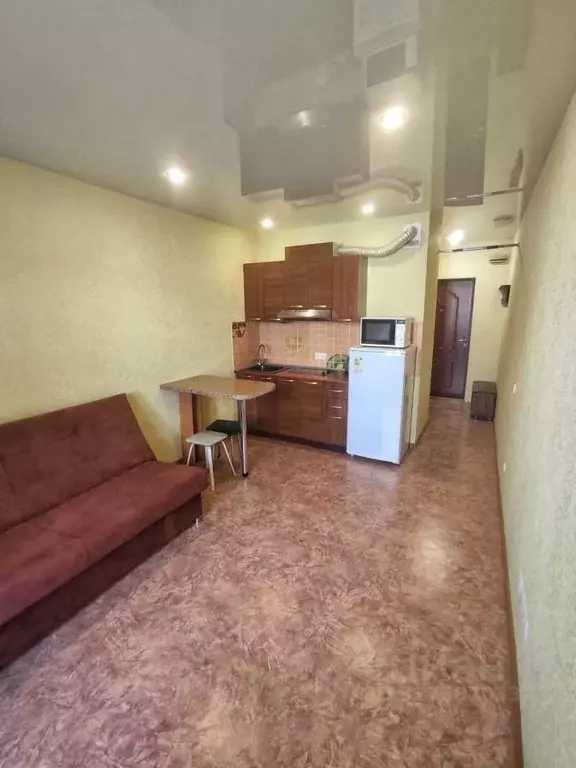 1-к кв. Новосибирская область, Новосибирск ул. Виктора Уса, 9 (26.0 м) - Фото 2