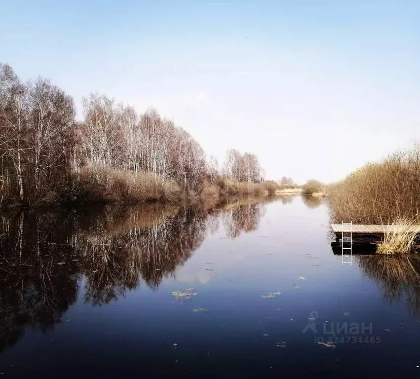 Участок в Новосибирская область, Колыванский район, Север ТСН 181 ... - Фото 1