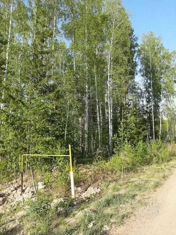 Участок, 2395.6 сот., сельхоз (снт или днп) - Фото 1