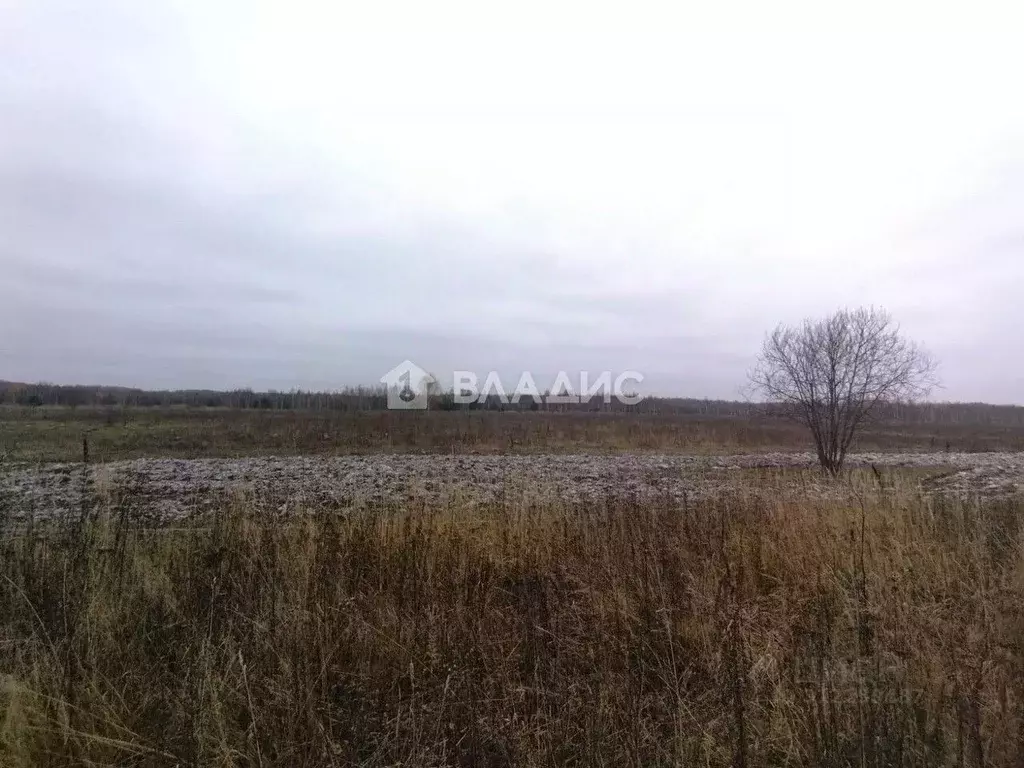 Участок в Московская область, Коломна городской округ, д. Гришино  ... - Фото 1