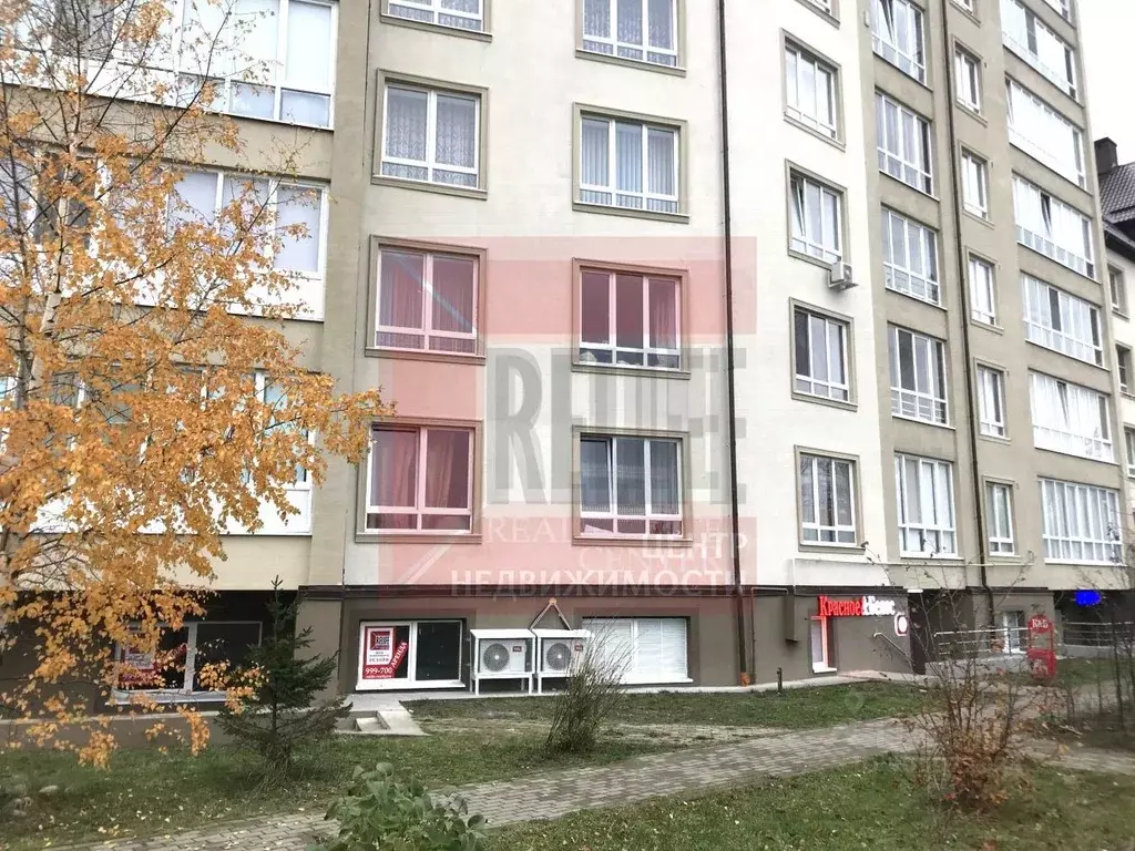 Помещение свободного назначения в Калининградская область, Гурьевский ... - Фото 1